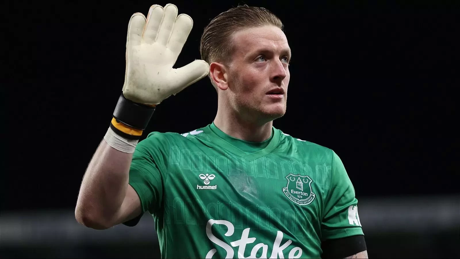 Sự nghiệp của Jordan Pickford